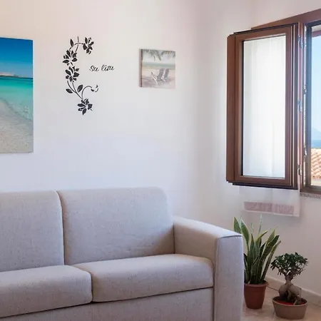 Casa Su Lizu דירה *