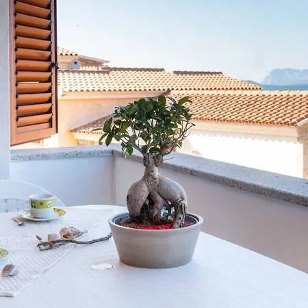 Casa Su Lizu * Tanaunella